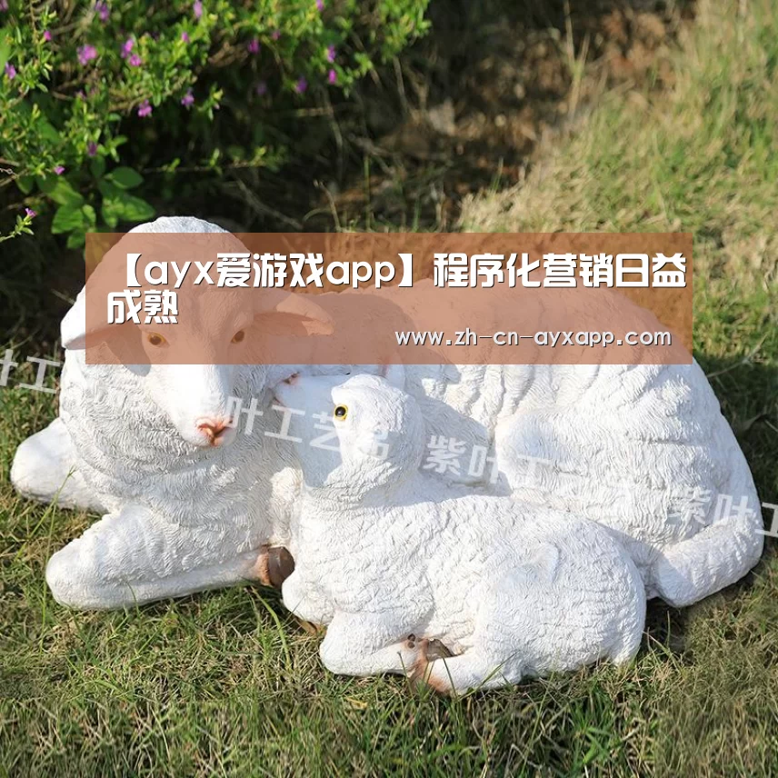 【ayx爱游戏app】程序化营销日益成熟(图2) ayx爱游戏app