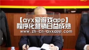 【ayx爱游戏app】程序化营销日益成熟(图3) ayx爱游戏app