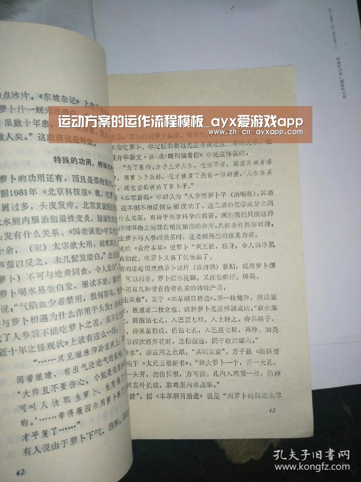 运动方案的运作流程模板_ayx爱游戏app(图2) ayx爱游戏app