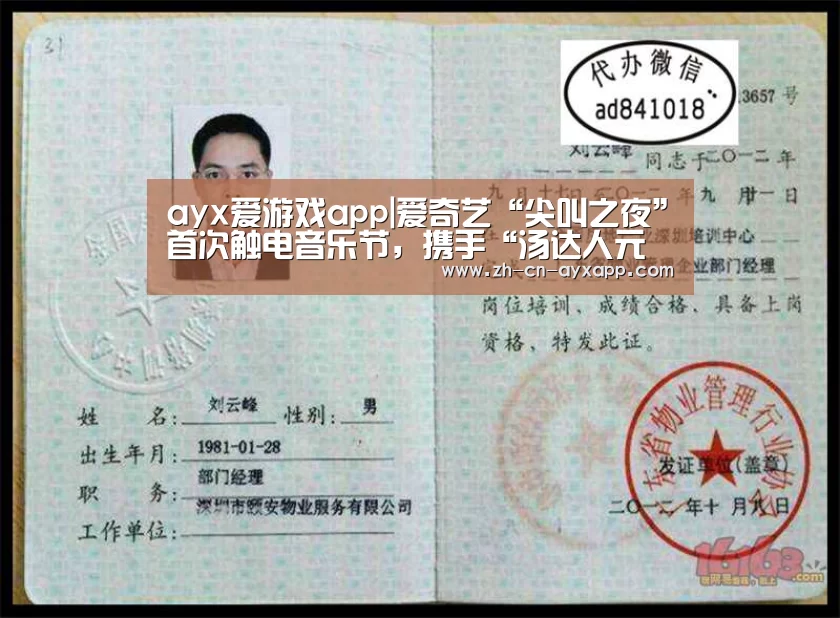 ayx爱游戏app|爱奇艺“尖叫之夜”首次触电音乐节,携手“汤达人元气音乐节”打造共振营销(图2) ayx爱游戏app