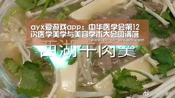 ayx爱游戏app:中华医学会第12次医学美学与美容学术大会圆满落幕(图3) ayx爱游戏app