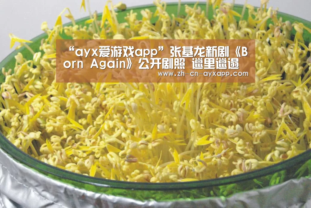 “ayx爱游戏app”张基龙新剧《Born Again》公开剧照 邋里邋遢变化大(图4) ayx爱游戏app