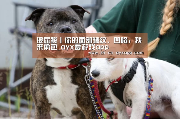 玻尿酸丨你的面部皱纹、凹陷,我来承包_ayx爱游戏app(图1) ayx爱游戏app